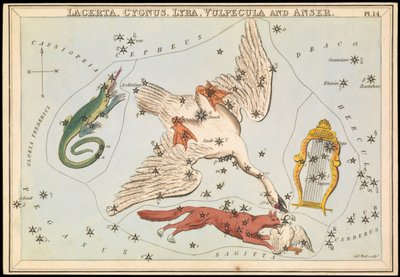 Lacerta, Cygnus, Lyra, Vulpecula e Anser, c.1825 da Sydney Hall