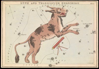 Lince e Telescopium Hereschilii, c.1825 da Sydney Hall