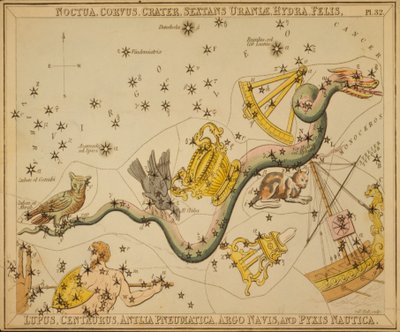 Noctua, Corvus, Crater, Sextans Uraniæ, Hydra, Felis, Lupus, Centaurus, Antlia Pneumatica, Argo Navis, e Pyxis Nautica, Illustrazione da 