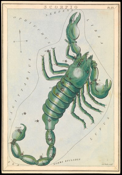Scorpione, c.1825 da Sydney Hall
