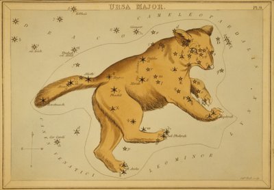 Orsa Maggiore, illustrazione da 