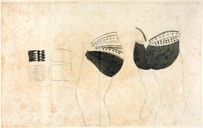 Una raccolta di disegni di A. Buchan, S. Parkinson e J. F. Miller, realizzati nei paesi visitati dal capitano James Cook nel suo primo viaggio (1768-71), nonché di stampe pubblicate nei Voyages of Biron (Byron), Wallis e Cook (1773) di John Hawksworth, com da Sydney Parkinson