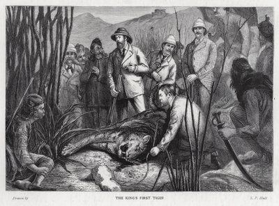 Re Edoardo VII con la tigre che ha ucciso da Sydney Prior (after) Hall