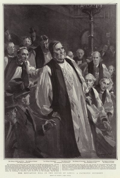 Il disegno di legge sull