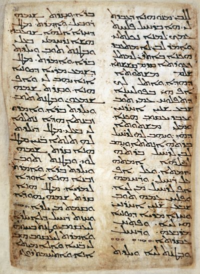 Pagina di testo dal Pentateuco. (Genesi, Esodo, Numeri, Deuteronomio), 464 da Syrian Syrian