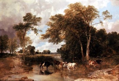 Paesaggio fluviale boscoso da T.S. and Lee F.R. Cooper