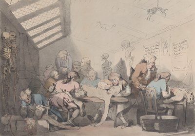La sala delle dissezioni da T. C. Wilson