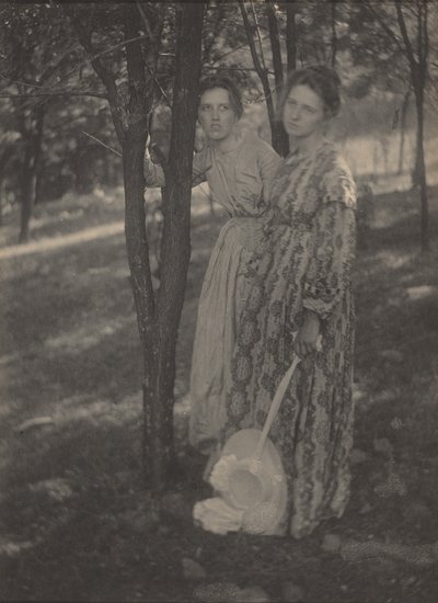 Nel bosco, c. 1899 (foto) da T. M. Edmiston
