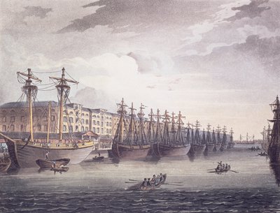 Docks delle Indie Occidentali da T. and Pugin A.C. Rowlandson