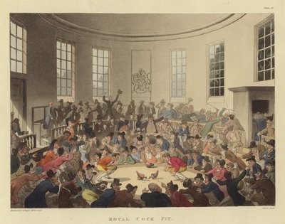 Fossa reale del gallo (incisione a colori) da T. & Pugin A.C. (1762-1832) (after) Rowlandson