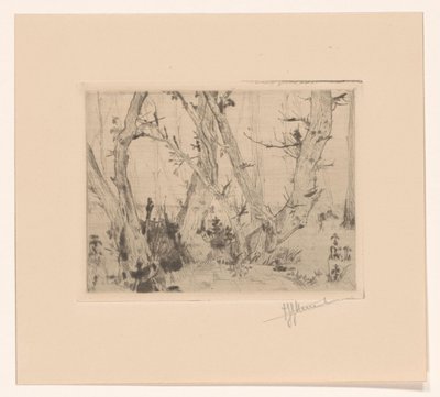 Veduta del bosco da T. Sterrenburg (signed by artist)