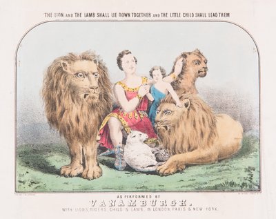 Il leone e l
