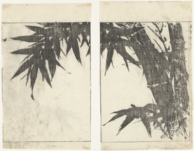 Bambù da Tachibana Morikuni