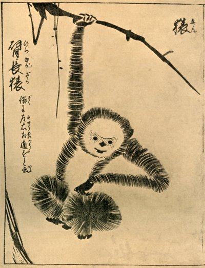 Scimmia, 1720, 1924 da Tachibana Morikuni