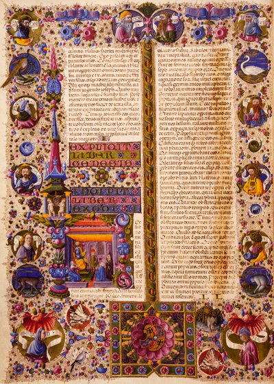 Il libro dell