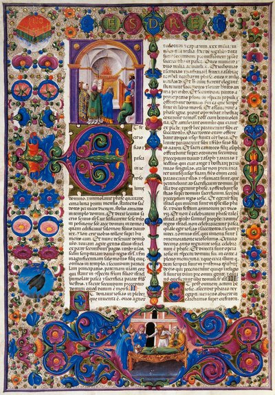 Il libro dell