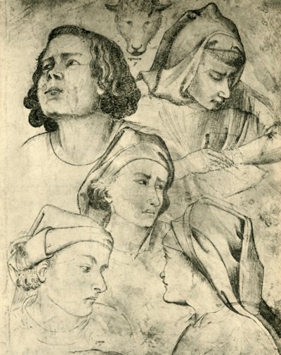 Studi di teste da Taddeo Gaddi