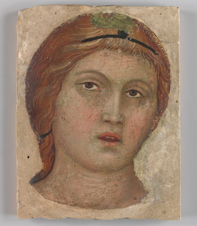 Testa di un angelo in pieno volto da Taddeo di Bartolo
