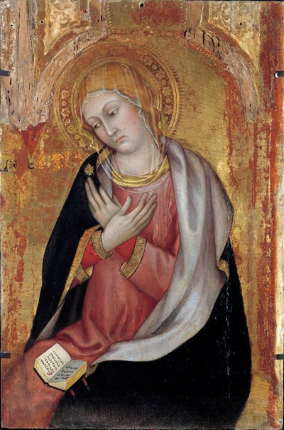 La Vergine dell