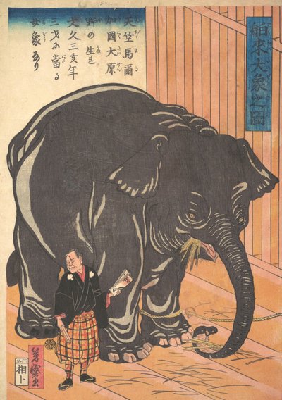 Vista del grande elefante importato, 1863 da Taguchi Yoshimori