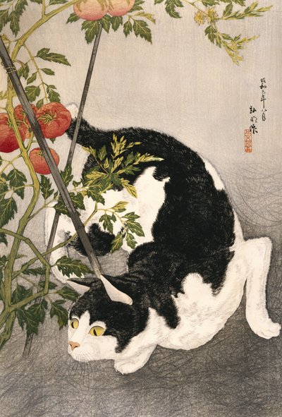 Gatto che si aggira intorno a una pianta di pomodoro, 1931 da Takahashi Hiroaki