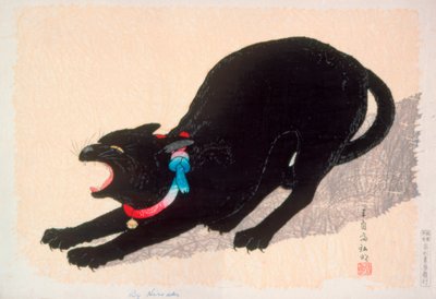 Gatto nero sibilante da Takahashi Hiroaki