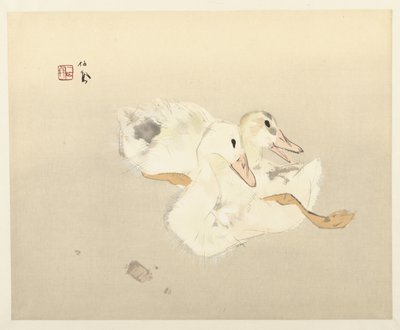 Anatroccoli da Takeuchi Seiho