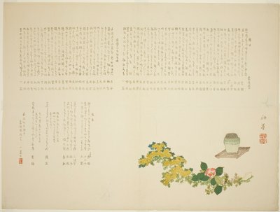 Bruciaincenso. Crisantemi e camelie da Tanaka Shûtei