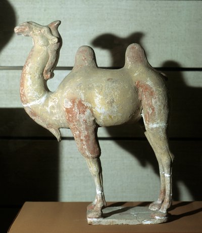 Cammello colorato, oggetto funerario, 618-907 da Tang Dynasty Chinese School