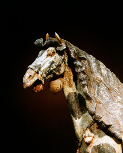 (dettaglio) da Tang Dynasty Chinese School