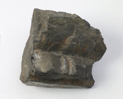 Frammento di un piedistallo di loto da Tang Dynasty Chinese School