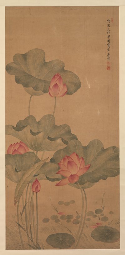 Loto rosso e pesce da Tang Guang