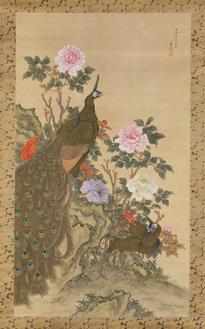 Pavoni e peonie da Tani Buncho