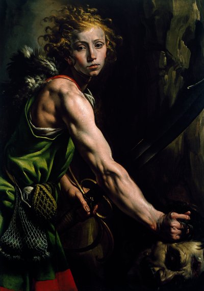 Davide con la testa di Golia, di Antonio d