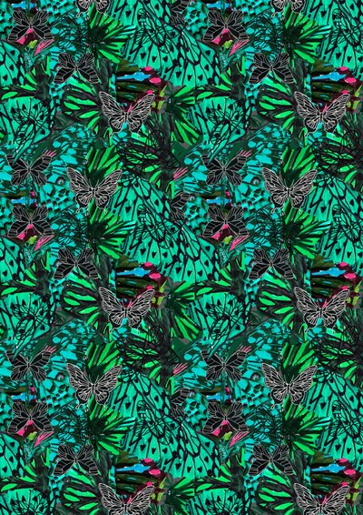 Papillon da Tara Whitehead