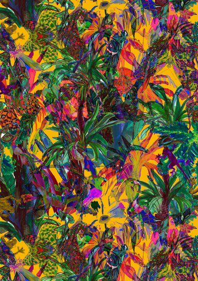 Paradiso da Tara Whitehead