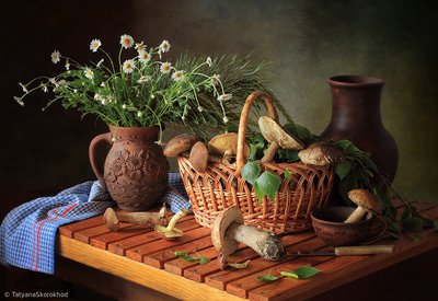 Natura morta con funghi autunnali da Tatyana Skorokhod