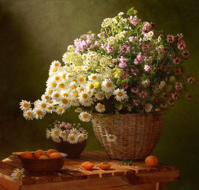  da Tatyana Skorokhod