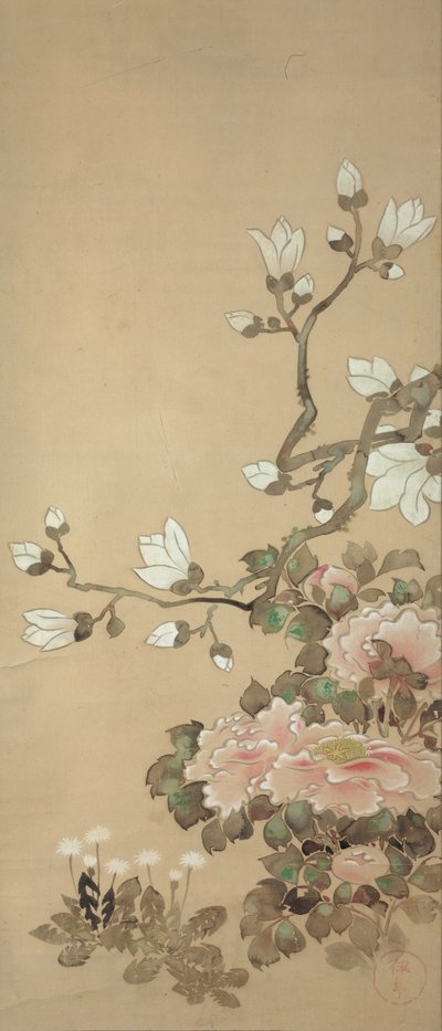 Peonie, magnolia e denti di leone da Tawaraya Sotatsu
