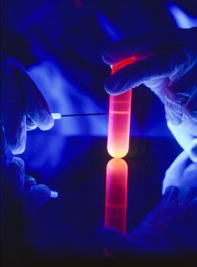 Estrazione di nucleotidi di RNA da una provetta centrifuga di plastica da Ted Spiegel