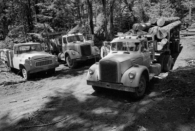 Camion per il trasporto di legname in una foresta in fase di raccolta in Oregon da Ted Spiegel