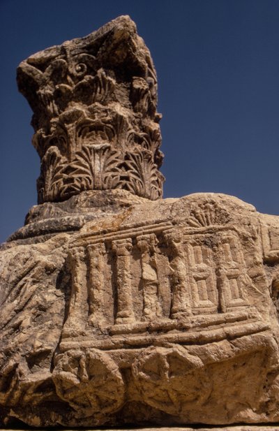 Rovine della sinagoga a Capernaum, Israele da Ted Spiegel