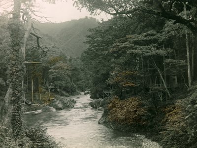 Foresta autunnale nella regione di Yamanaka, circa 1900 - 1915 (fotografia) da Teijiro Takagi