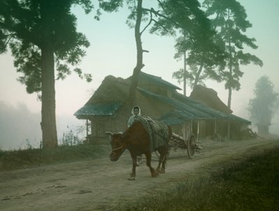  da Teijiro Takagi