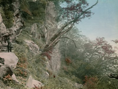sulla strada per le cascate di Kegon a Nikko, circa 1900 - 1915 (fotografia) da Teijiro Takagi
