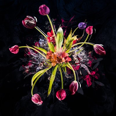 Bouquet XVIII da Teis Albers