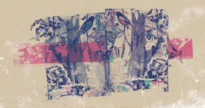 Tuono rimbombante, 2015 da Teis Albers