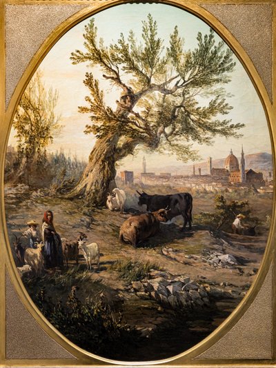 Vista dell
