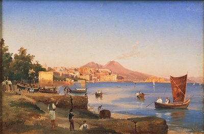 Napoli vista da Mergellina da Teodoro Duclere