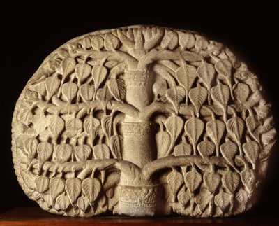 Albero di Bodhi da Thai School